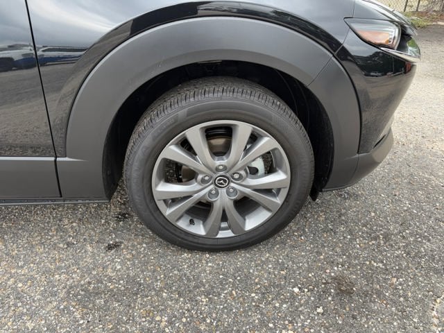 2026 Mazda Mazda CX-30 2.5 S Premium AWD
