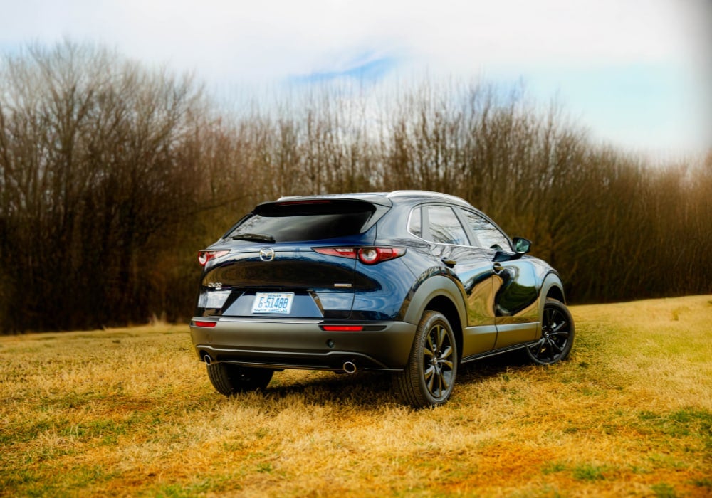 Dark blue Mazda CX-30 SUV parked in a golden grassy field, viewed from the rear passenger side